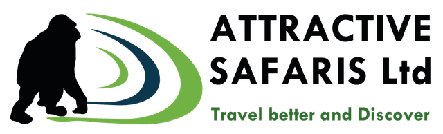Attractive Safaris