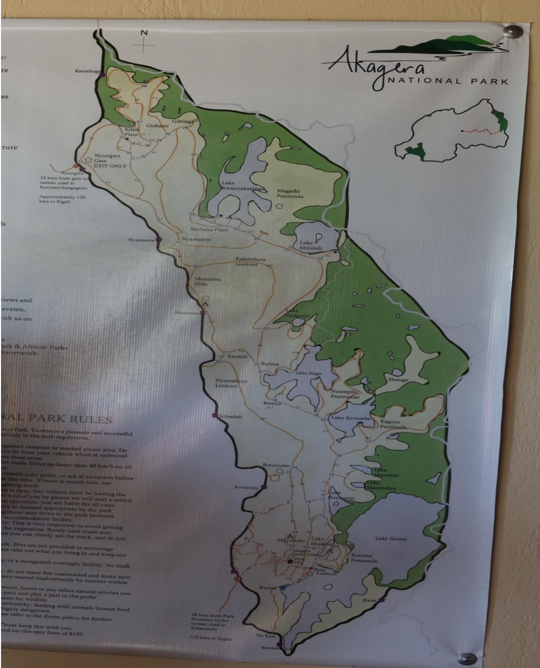 Safari in Akagera National Park