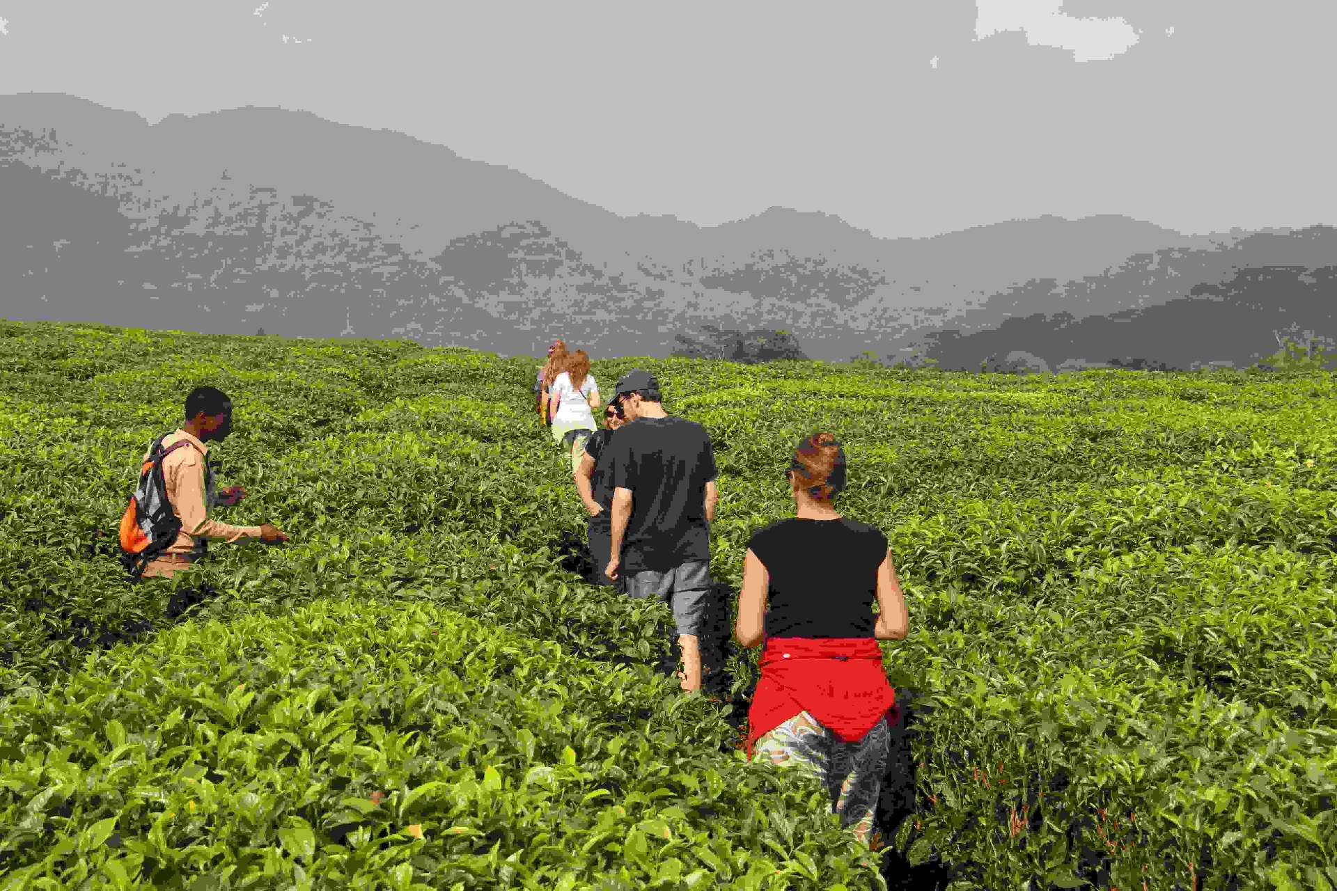 Agro-Tourism